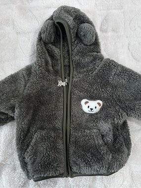 Plush Teddy Hoodie Jacket in Sage Green